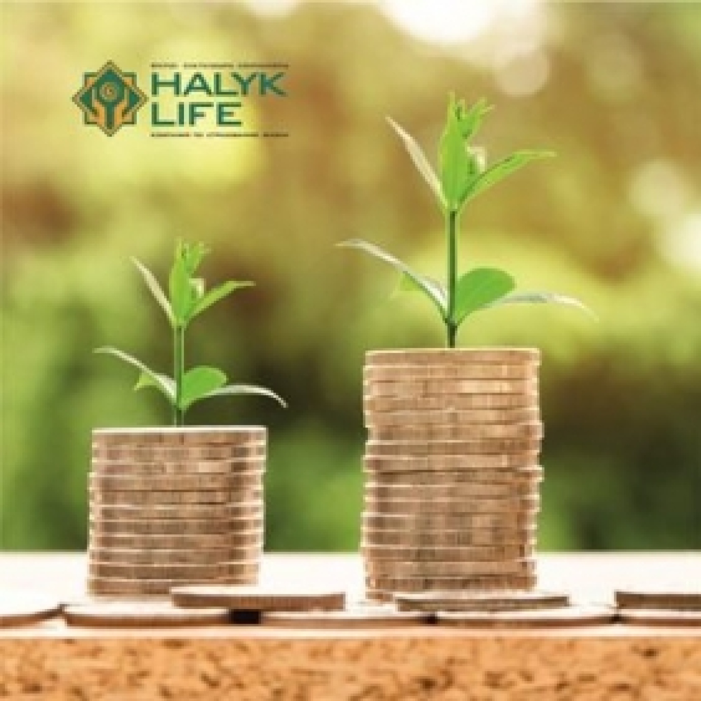 «Халық-Life» АҚ сақтандыру дивидендтері түрінде өмірді жинақтап сақтандыру бойынша клиенттері арасында бөлуді ұйғарды